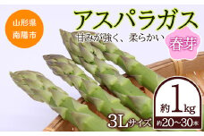 【令和7年産先行予約】 アスパラガス (春芽) 約1kg (3Lサイズ  約20～30本前後) 《令和7年5月～発送》 『生産者 吉田 太一』 山形南陽産 農家直送 山形県 南陽市 [1526]