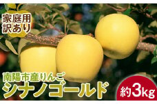 【令和6年産先行予約】 〈訳あり品 家庭用〉 りんご ｢シナノゴールド｣ 約3kg (8～12玉前後) 《令和6年10月中旬～発送》 『平農園』 リンゴ 果物 フルーツ 産地直送 生産農家直送 山形県 南陽市 [1647]