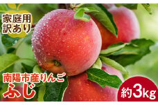 【令和6年産先行予約】 〈訳あり品 家庭用〉 りんご ｢サンふじ｣ 約3kg (8～12玉前後) 《令和6年11月下旬～発送》 『平農園』 リンゴ 果物 フルーツ 産地直送 生産農家直送 山形県 南陽市 [1650]