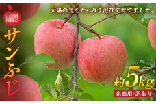 【令和6年産先行予約】 〈訳あり品 家庭用〉 りんご ｢サンふじ｣ 約5kg (13～20玉前後) 《令和6年11月下旬～発送》 『平農園』 リンゴ 果物 フルーツ 産地直送 生産農家直送 山形県 南陽市 [1690]