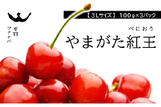 【令和7年産先行予約】 さくらんぼ 「やまがた紅王」 約300g (100g×3パック 特選 3Lサイズ) 《令和7年6月中旬～発送》 『最上園』 予約 小分け サクランボ 果物 フルーツ 産地直送 山形県 南陽市 [1689]