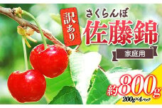【令和7年産先行予約】 〈訳あり品 家庭用〉 さくらんぼ 「佐藤錦」 約800g (200g×4パック Mサイズ) 《令和7年6月中旬～発送》 『田口農園』 サクランボ 生産農家直送 小分け 果物 フルーツ 山形県 南陽市 [1691]