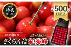 【令和7年産先行予約】【数量限定】温室さくらんぼ 「紅秀峰」 約500g (特秀 2～3L) 化粧箱入り 《令和7年5月下旬～発送》 『松田観光果樹園』 数量限定 サクランボ 果物 フルーツ 産地直送 生産農家直送 ギフト 贈答 山形県 南陽市 [1692]