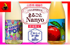 【ふるさと納税限定商品・数量限定】 まるごとNanyo 750ml × 2本セット 『(株)グレープリパブリック』 シードル 白ワイン 山形県 南陽市 [1726]