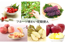 【令和7年産先行予約】 《定期便4回》 フルーツ味わい定期便A 『フードシステムズ』 山形県 南陽市 [1140-R7]