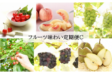 【令和7年産先行予約】 《定期便4回》 フルーツ味わい定期便C 『フードシステムズ』 山形県 南陽市 [1142-R7]