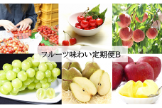 【令和7年産先行予約】 《定期便4回》 フルーツ味わい定期便B 『フードシステムズ』 山形県 南陽市 [1141-R7]