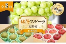 【令和7年産先行予約】 《定期便3回》 秋冬フルーツ定期便 『フードシステムズ』 山形県 南陽市 [1150-R7]