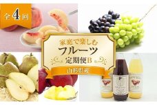【令和7年産先行予約】 《定期便4回》 家庭で楽しむフルーツ定期便B 『フードシステムズ』 山形県 南陽市 [1253-R7]