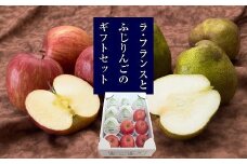 【令和7年産先行予約】 ラ・フランス ＆ ふじりんご MIX 約3kg (各6玉 秀)  《令和7年11月下旬～発送》 『Yamagataうまいな中村屋』 リンゴ 洋梨 梨 果物 フルーツ 山形県 南陽市 [1744]