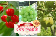 【令和7年産先行予約】 《定期便3回》 食べきりサイズの くだもの定期便 『南陽中央青果市場』 フルーツ 山形県 南陽市 [1745]