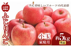 【令和7年産先行予約】〈家庭用〉 小玉 ふじりんご 約5kg (20～25玉 秀) 《令和7年11月中旬～12月下旬発送》 『フードシステムズ』 林檎 リンゴ 果物 フルーツ デザート 山形県 南陽市 [1392-R7]
