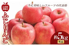 【令和7年産先行予約】 ふじりんご 約5kg (10～18玉 秀)  《令和7年11月中旬～12月下旬発送》 『フードシステムズ』 林檎 リンゴ 果物 フルーツ デザート 山形県 南陽市 [851-R7]