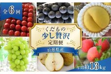【令和7年産先行予約】 《定期便6回》 くだもの”少し贅沢”定期便 『南陽中央青果市場』 山形県 南陽市 [1166-R7]