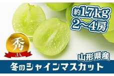 【令和7年産先行予約】 JA 冬のシャインマスカット 約1.7kg (2～4房 秀) 《令和7年12月中旬～下旬発送》 『JA山形おきたま』 山形県 南陽市 [821]