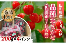 【令和7年産先行予約】 さくらんぼ 「佐藤錦または紅秀峰」 800g (200g×4パック 秀 L以上) 《令和7年6月上旬～発送》 『南陽中央青果市場』 小分け サクランボ 果物 フルーツ 山形県 南陽市 [1476]