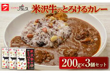 米沢牛のとろけるカレー (200g×3個セット) 『スパイスキッチン成ス』 山形県 南陽市 [1795]