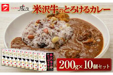 米沢牛のとろけるカレー (200g×10個セット) 『スパイスキッチン成ス』 山形県 南陽市 [1798]