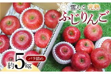 【令和7年産先行予約】 雪んこ 完熟ふじりんご 約5kg バラ詰め 《令和8年1月上旬～発送》 【全国りんご選手権 銀賞】 『船中農園』 りんご リンゴ ふじ ふじりんご 完熟 果物 フルーツ デザート 山形県 南陽市 [1848]