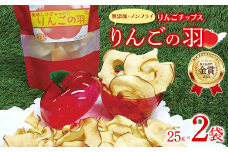 【野菜ソムリエサミット金賞受賞】 りんごの羽（無添加・ノンフライりんごチップス） 2袋セット 『船中農園』 山形県 南陽市 [1850]