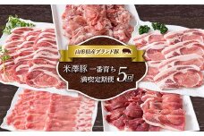 《定期便5回》 米澤豚一番育ち 満喫定期便 5回 ブランド豚 豚肉 米沢 米沢豚 山形県 南陽市 [1859]