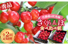 【令和7年産先行予約】 《定期便2回》 さくらんぼ食べ比べ定期便 「佐藤錦・紅秀峰」 各500g (秀品) 『マルエ青果』 果物 くだもの フルーツ 山形県 南陽市 [1888]