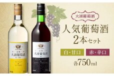 大浦葡萄酒 人気葡萄酒 750ml×2本セット 『(有)大浦葡萄酒』 赤ワイン 白ワイン 甘口 辛口 酒 山形県 南陽市 [1893]