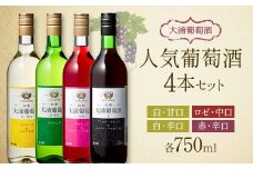大浦葡萄酒 人気葡萄酒 750ml×4本セット 『(有)大浦葡萄酒』 赤ワイン 白ワイン ロゼ 甘口 辛口 中口 酒 山形県 南陽市 [1894]