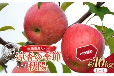 【令和7年産先行予約】 〈訳あり品 家庭用〉 りんご 「涼香の季節または秋陽」 約10kg (28～40玉) バラ詰め 《令和7年9月下旬～発送》 『マルタニ農園』 リンゴ 山形県 南陽市 [1917]