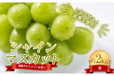 【令和7年産先行予約】 シャインマスカット 約2kg (3～4房 秀) 《令和7年10月上旬～発送》 『紺野農園』 山形県 南陽市 [1913]