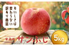 【令和6年産先行予約】 〈訳あり品 家庭用〉 りんご 「サンふじ」 約5kg バラ詰め 《令和6年12月上旬～令和7年2月下旬発送》 『カネタ髙橋青果』 リンゴ 山形県 南陽市 [1958]