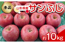 【令和7年産先行予約】 りんご 「サンふじ」 約10kg (24～46玉 秀品) 《令和7年12月上旬～令和8年2月下旬発送》 『カネタ髙橋青果』 リンゴ 山形県 南陽市 [1961]