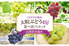 【令和7年産先行予約】 大粒ぶどう 食べ比べセット おまかせ4房 《令和7年9月上旬～発送》 『うえ木ぶどう園』 ぶどう 果物 フルーツ デザート 食べ比べ 山形県 南陽市 [675]