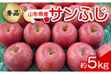 【令和6年産先行予約】 りんご 「サンふじ」 約5kg (12～23玉 秀品) 《令和6年12月上旬～令和7年2月下旬発送》 『カネタ髙橋青果』 リンゴ 山形県 南陽市 [1960]