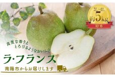 【令和6年産先行予約】 ラ・フランス 約5kg (10～12玉 特秀 5～6L ) 《令和6年11月中旬～発送》 『田中農園』 ラフランス 西洋梨 洋なし 果物 フルーツ デザート 山形県 南陽市 [1979]