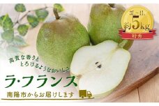 【令和6年産先行予約】 ラ・フランス 約5kg (14～16玉 特秀 3～4L) 《令和6年11月中旬～発送》 『田中農園』 ラフランス 西洋梨 洋なし 果物 フルーツ デザート 山形県 南陽市 [1980]
