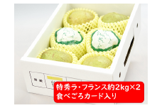 【令和7年産先行予約】 ラ・フランス 計約4kg (12～14玉 特秀 2～4L) 《令和7年11月～発送》 『たけひさ農園』 ラフランス 西洋梨 洋なし 果物 フルーツ デザート 山形県 南陽市 [1086-1]