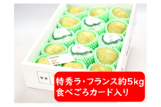【令和7年産先行予約】 ラ・フランス 約5kg (15～18玉 特秀 2～4L) 《令和7年11月～発送》 『たけひさ農園』 ラフランス 西洋梨 洋なし 果物 フルーツ デザート 山形県 南陽市 [1088-1]