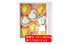 【令和7年産先行予約】 ラ・フランス 約3kg (8～11玉 特秀 2～5L) 《令和7年11月～発送》 『たけひさ農園』 ラフランス 西洋梨 洋なし 果物 フルーツ デザート 山形県 南陽市 [1087-1]