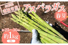 【令和7年産先行予約】 アスパラガス （春芽） 約1kg （2Lサイズ 約25～30本前後） 《令和7年5月上旬～発送》 『みつば農園』 山形県 南陽市 [1953]