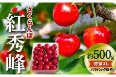 【令和7年産先行予約】 さくらんぼ 「紅秀峰」 約500g (特秀 3L) バラパック詰め 《令和7年6月下旬～発送》 『松田観光果樹園』 サクランボ 果物 フルーツ 産地直送 生産農家直送 山形県 南陽市 [2001]