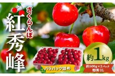 【令和7年産先行予約】 さくらんぼ 「紅秀峰」 約1kg (約500g×2パック 特秀 3L) バラパック詰め 《令和7年6月下旬～発送》 『松田観光果樹園』 サクランボ 果物 フルーツ 産地直送 生産農家直送 山形県 南陽市 [2000]