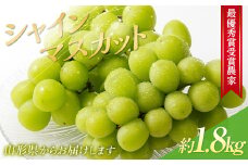 【令和7年産先行予約】 【山形県ぶどう品評会 最優秀賞受賞農家】 シャインマスカット 約1.8kg (3房入り 秀) 《令和7年9月中旬～発送》 『青木農園』 マスカット ぶどう 果物 フルーツ デザート 山形県 南陽市 [2027]