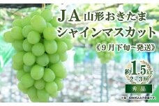 【令和7年産先行予約】 JA シャインマスカット 約1.5kg (2～3房 秀) 《令和7年9月下旬～発送》 『JA山形おきたま』 山形県 南陽市 [2054]