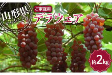 【令和7年産先行予約】 〈訳あり品 家庭用〉 デラウェア 約2kg (9～16房) 《令和7年8月上旬～発送》 『沼沢農園』  デラウェア ぶどう 種なし 果物 訳あり フルーツ デザート 山形県 南陽市 [2076]