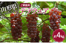 【令和7年産先行予約】 〈訳あり品 家庭用〉 デラウェア 約4kg (18～32房) 《令和7年8月上旬～発送》 『沼沢農園』  デラウェア ぶどう 種なし 果物 訳あり フルーツ デザート 山形県 南陽市 [2077]