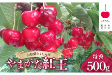 【令和7年産先行予約】 JA さくらんぼ 「やまがた紅王」 約500g (約500g×1パック 特秀 3L以上) バラ詰め 《令和7年6月下旬～発送》 『JA山形おきたま』 サクランボ 果物 フルーツ 山形県 南陽市 [2141]