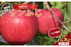 【令和7年産先行予約】 〈訳あり品 家庭用〉 りんご 「サンふじ」 約5kg (12～18玉) パック詰め 《令和7年11月中旬～発送》 『マルタニ農園』 リンゴ 山形県 南陽市 [2159]