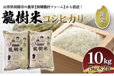 【令和6年産 新米 先行予約】 龍樹米 コシヒカリ 10kg (5kg×2袋) 《令和6年10月上旬～発送》 『梨郷農村ファーム』 山形南陽産 米 精米 ご飯 農家直送 山形県 南陽市 [836-R6]