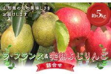 【令和7年産先行予約】 ラ･フランス & 完熟ふじりんご 詰合せ 約5kg (2L～3L) 《令和7年11月中旬～発送》 【全国りんご選手権 銀賞】 『船中農園』 山形県 南陽市 [2176]